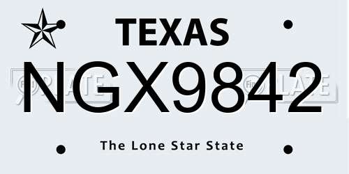NGX9842 Texas License Plate