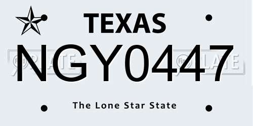 NGY0447 Texas License Plate