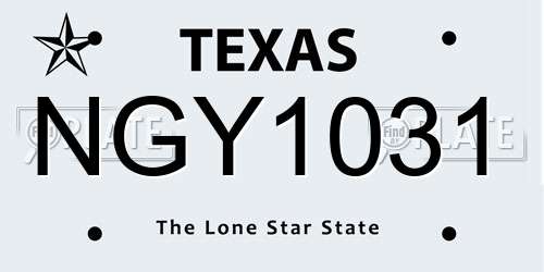 NGY1031 Texas License Plate