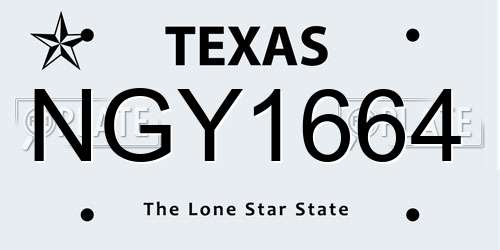 NGY1664 Texas License Plate