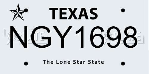 NGY1698 Texas License Plate