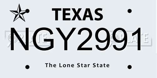 NGY2991 Texas License Plate