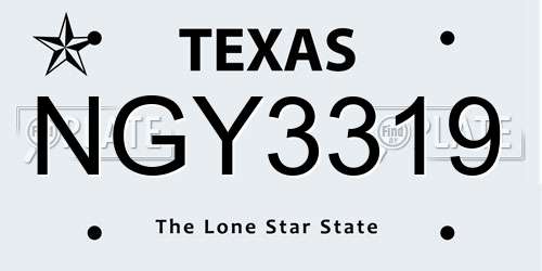 NGY3319 Texas License Plate