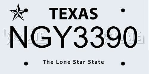 NGY3390 Texas License Plate
