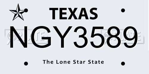 NGY3589 Texas License Plate