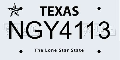 NGY4113 Texas License Plate