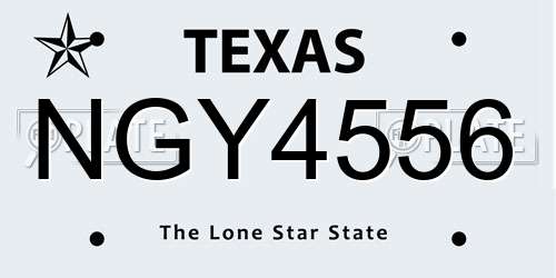 NGY4556 Texas License Plate