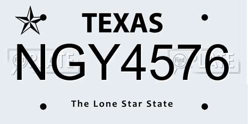 NGY4576 Texas License Plate