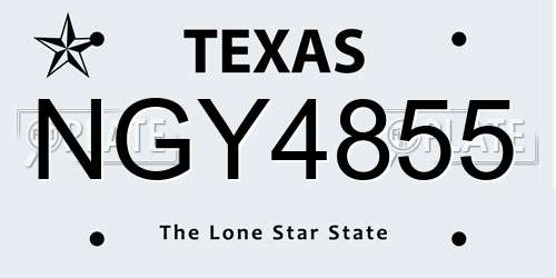 NGY4855 Texas License Plate