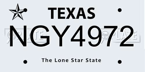 NGY4972 Texas License Plate