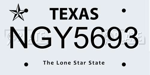 NGY5693 Texas License Plate