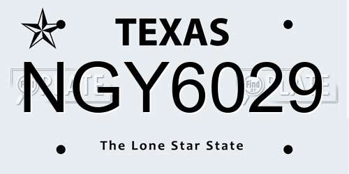 NGY6029 Texas License Plate