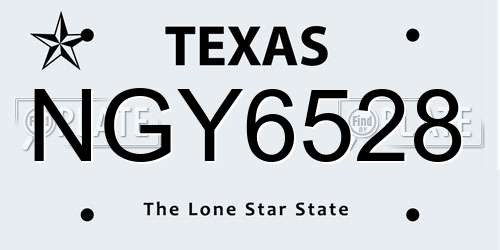 NGY6528 Texas License Plate