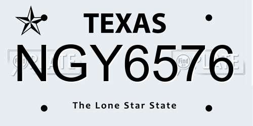 NGY6576 Texas License Plate