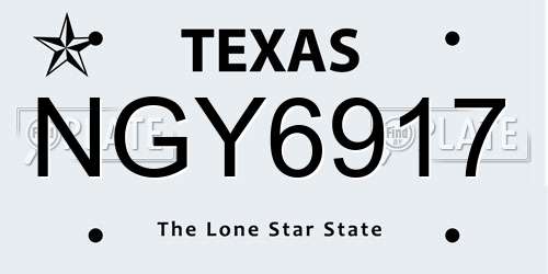 NGY6917 Texas License Plate