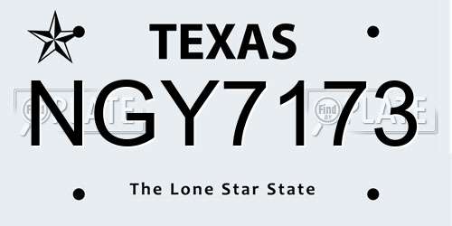 NGY7173 Texas License Plate