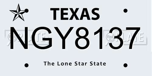 NGY8137 Texas License Plate