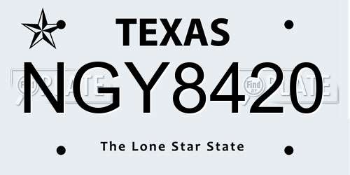NGY8420 Texas License Plate