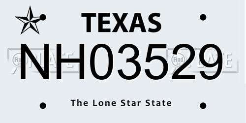 NH03529 Texas License Plate