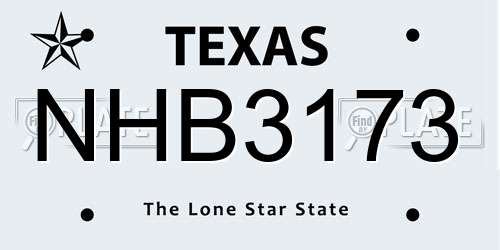 NHB3173 Texas License Plate
