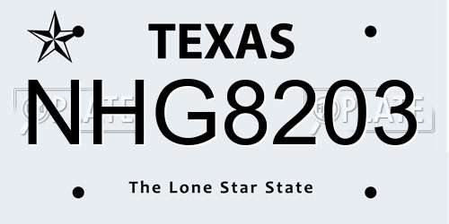 NHG8203 Texas License Plate