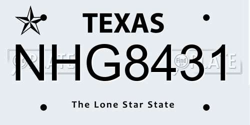 NHG8431 Texas License Plate