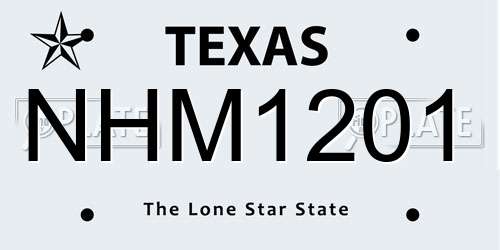 NHM1201 Texas License Plate