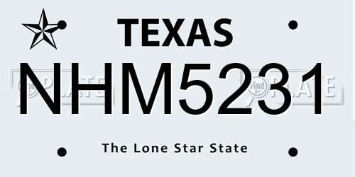 NHM5231 Texas License Plate