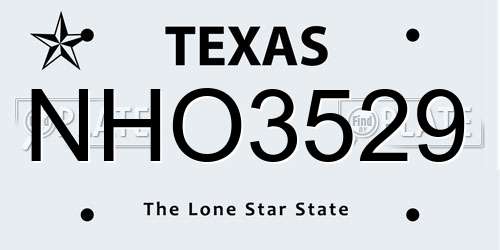 NHO3529 Texas License Plate