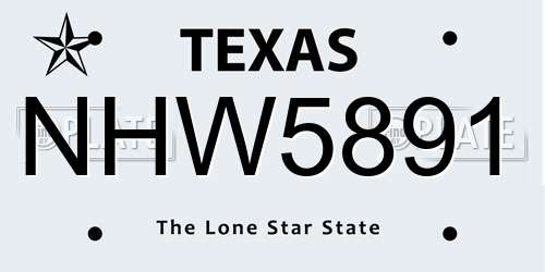 NHW5891 Texas License Plate