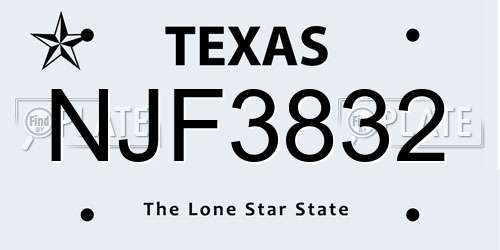 NJF3832 Texas License Plate