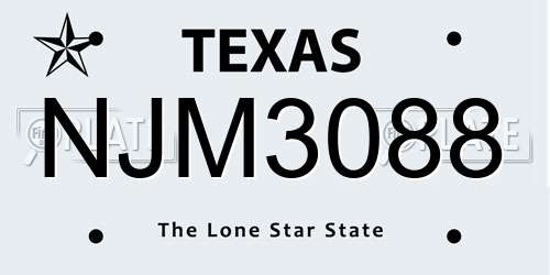 NJM3088 Texas License Plate