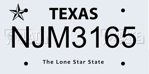 NJM3165 Texas License Plate
