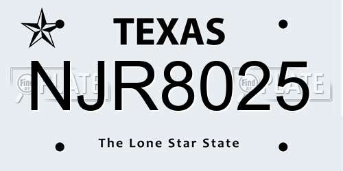 NJR8025 Texas License Plate