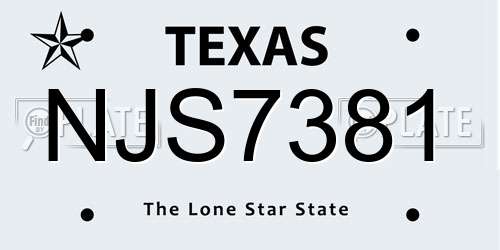 NJS7381 Texas License Plate