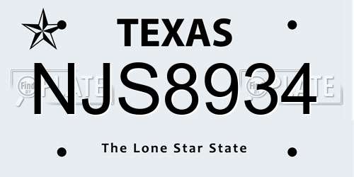 NJS8934 Texas License Plate