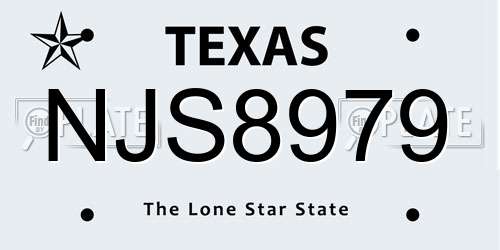 NJS8979 Texas License Plate