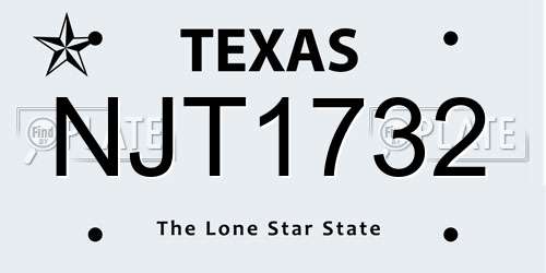 NJT1732 Texas License Plate