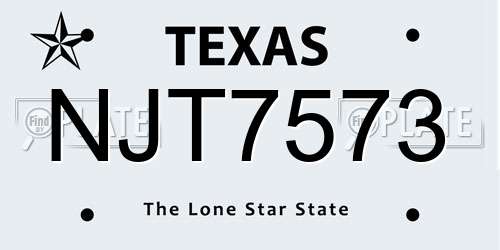 NJT7573 Texas License Plate