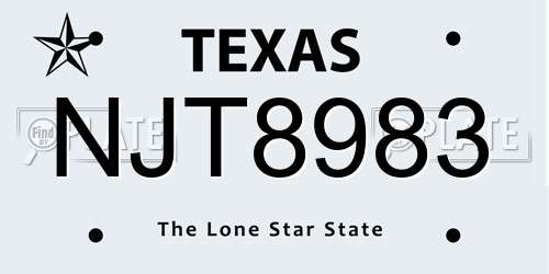 NJT8983 Texas License Plate