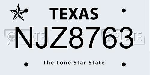 NJZ8763 Texas License Plate