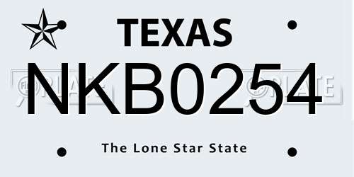 NKB0254 Texas License Plate