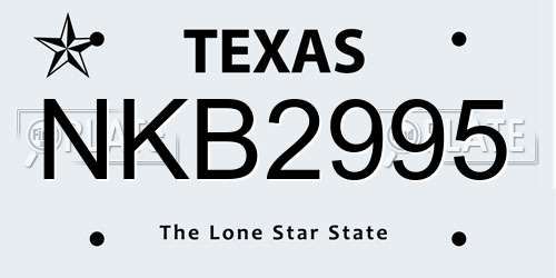NKB2995 Texas License Plate