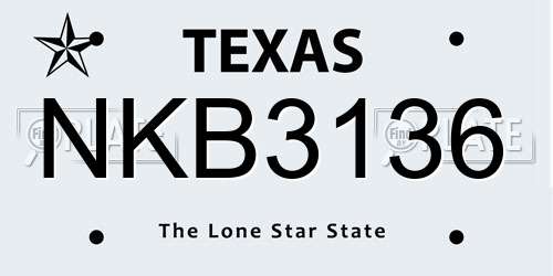 NKB3136 Texas License Plate