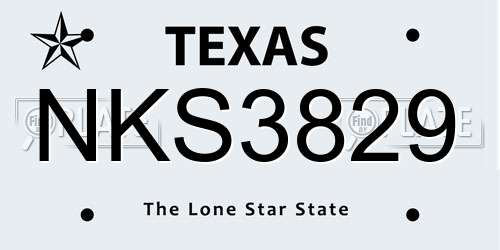 NKS3829 Texas License Plate