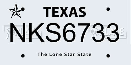 NKS6733 Texas License Plate