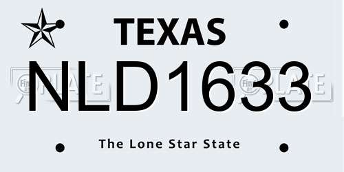 NLD1633 Texas License Plate