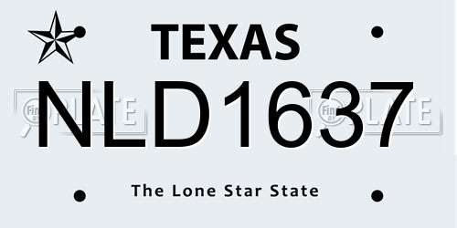 NLD1637 Texas License Plate