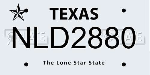 NLD2880 Texas License Plate