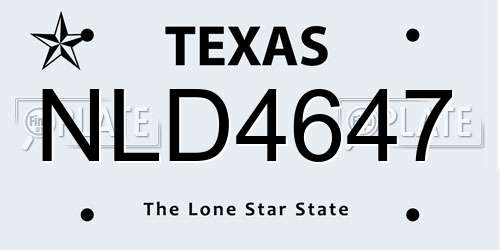 NLD4647 Texas License Plate